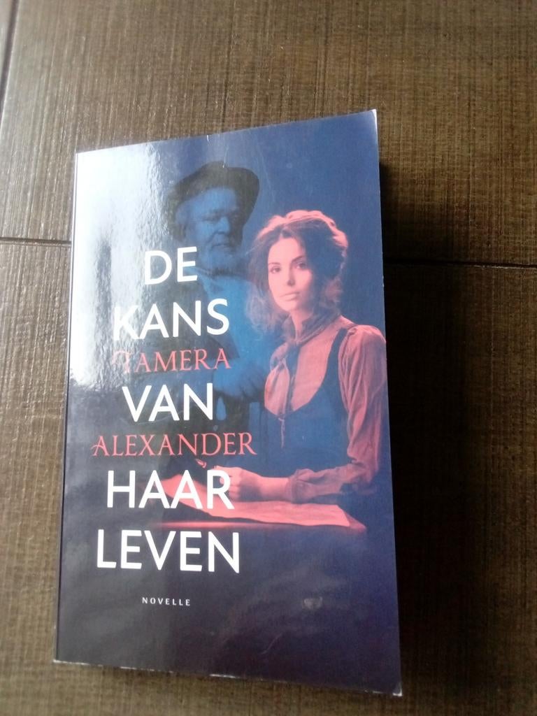 De kans van haar leven - Tamera Alexander (Novelle), Boeken, Romans, Ophalen