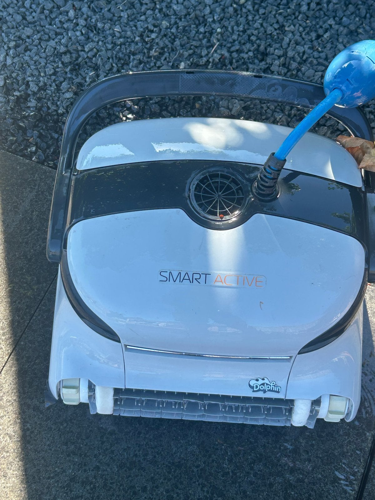 Dolphin Smart Active zwembadrobot, Gebruikt, Minder dan 200 cm, Inbouwzwembad, Ophalen