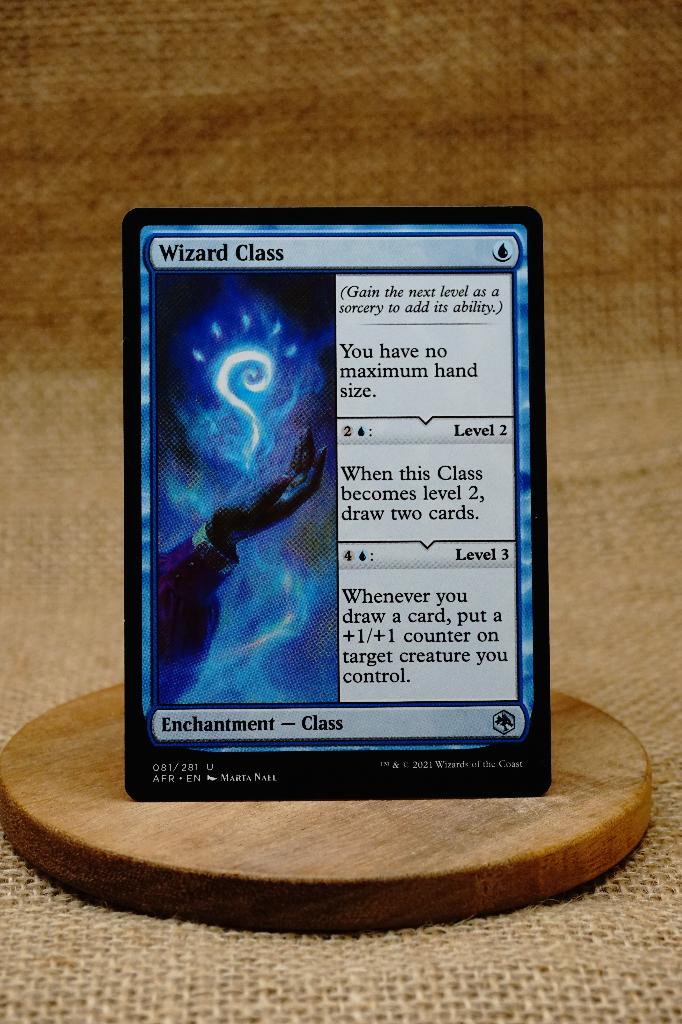 Wizard Class Adventures in the Forgotten Realms - Singles, Ophalen of Verzenden, Nieuw