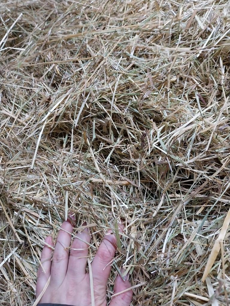 Suikerarm hooi 6,8%, Dieren en Toebehoren, Dierenvoeding, Ophalen, Vee