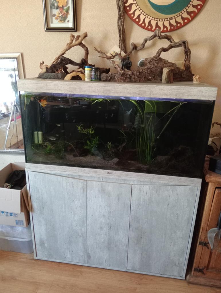 Aquarium, Ophalen, Gevuld zoetwateraquarium