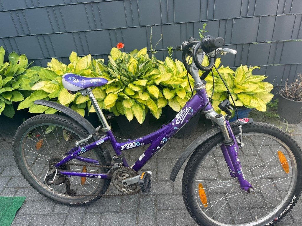 kinder-mountainbike, Ophalen, Gebruikt, Versnellingen, Schijfrem