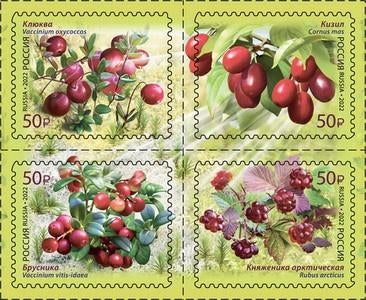 Rusland 2022. Michel 3114-17 CW € 18,50, Ophalen of Verzenden