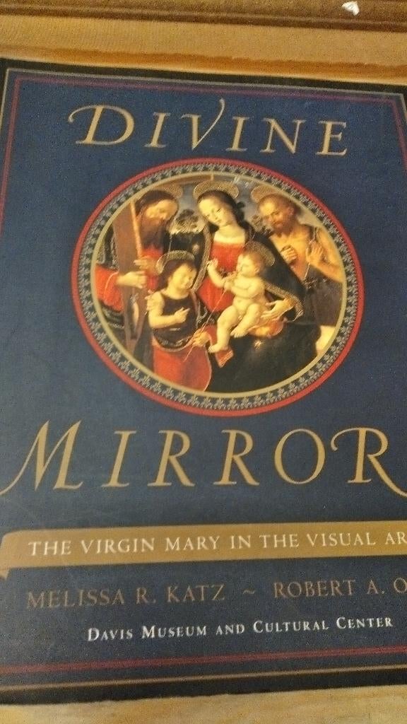 Divine Mirrors The Virgin Mary in the visual arts, Gelezen, Non-fictie, Verzenden, Diverse auteurs