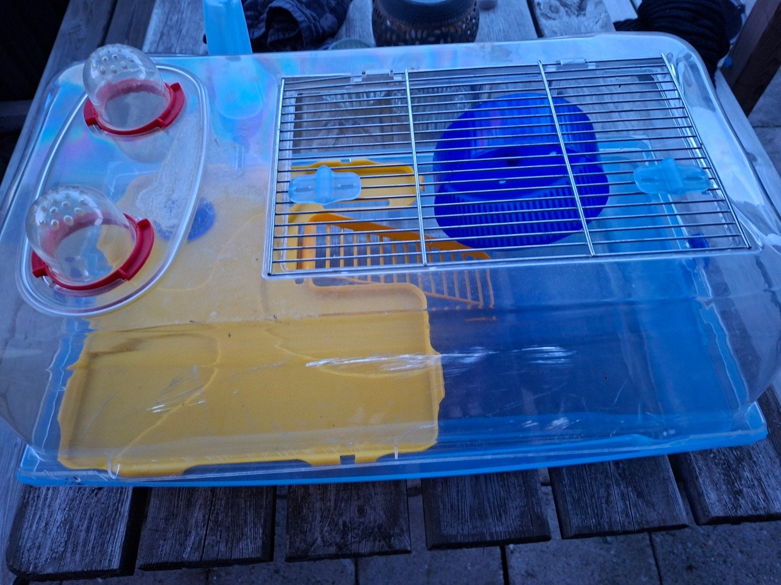 Knaagdieren kooi, Kooi, Gebruikt, Minder dan 75 cm, Ophalen