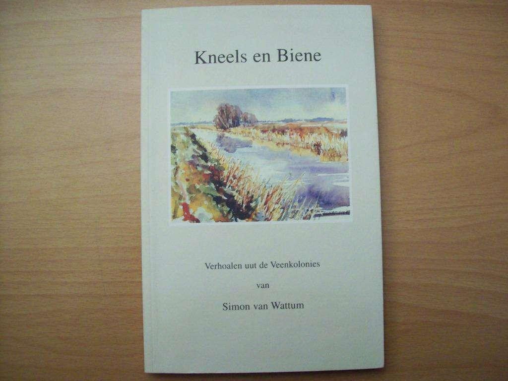 Kneels en Biene: Verhoalen uut de Veenkolonies - S. v Wattum, Simon van Wattum, Ophalen of Verzenden, Zo goed als nieuw, Groningen