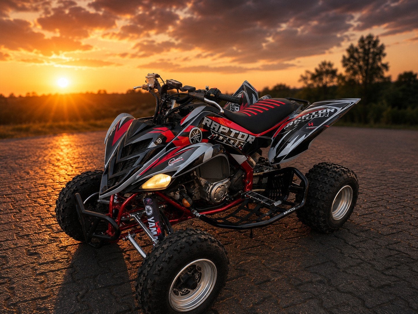 Yfm raptor 700