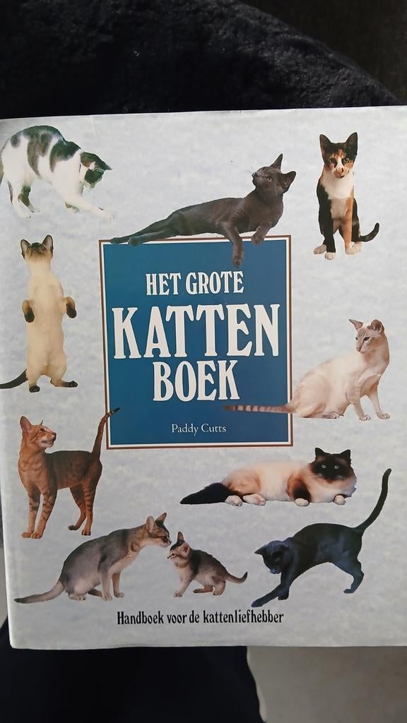 P. Cutts - Het grote kattenboek, Ophalen, Zo goed als nieuw, Katten, P. Cutts