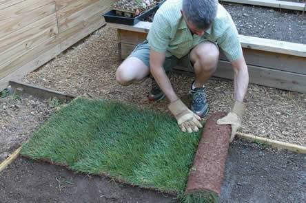 Graszoden over 5 rollen,5 m2 in Best NB, Ophalen, Nieuw, Minder dan 10 m²