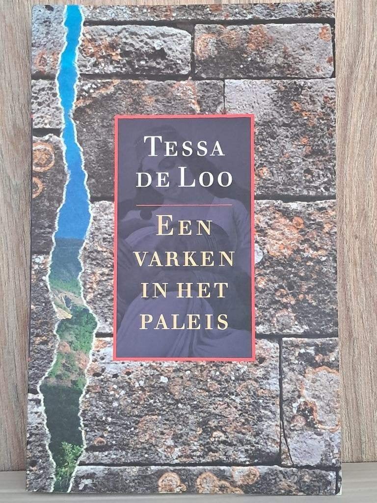 Een varken in het paleis | Tessa de Loo | Albanië, Ophalen of Verzenden, Gelezen, Tessa de Loo, Europa
