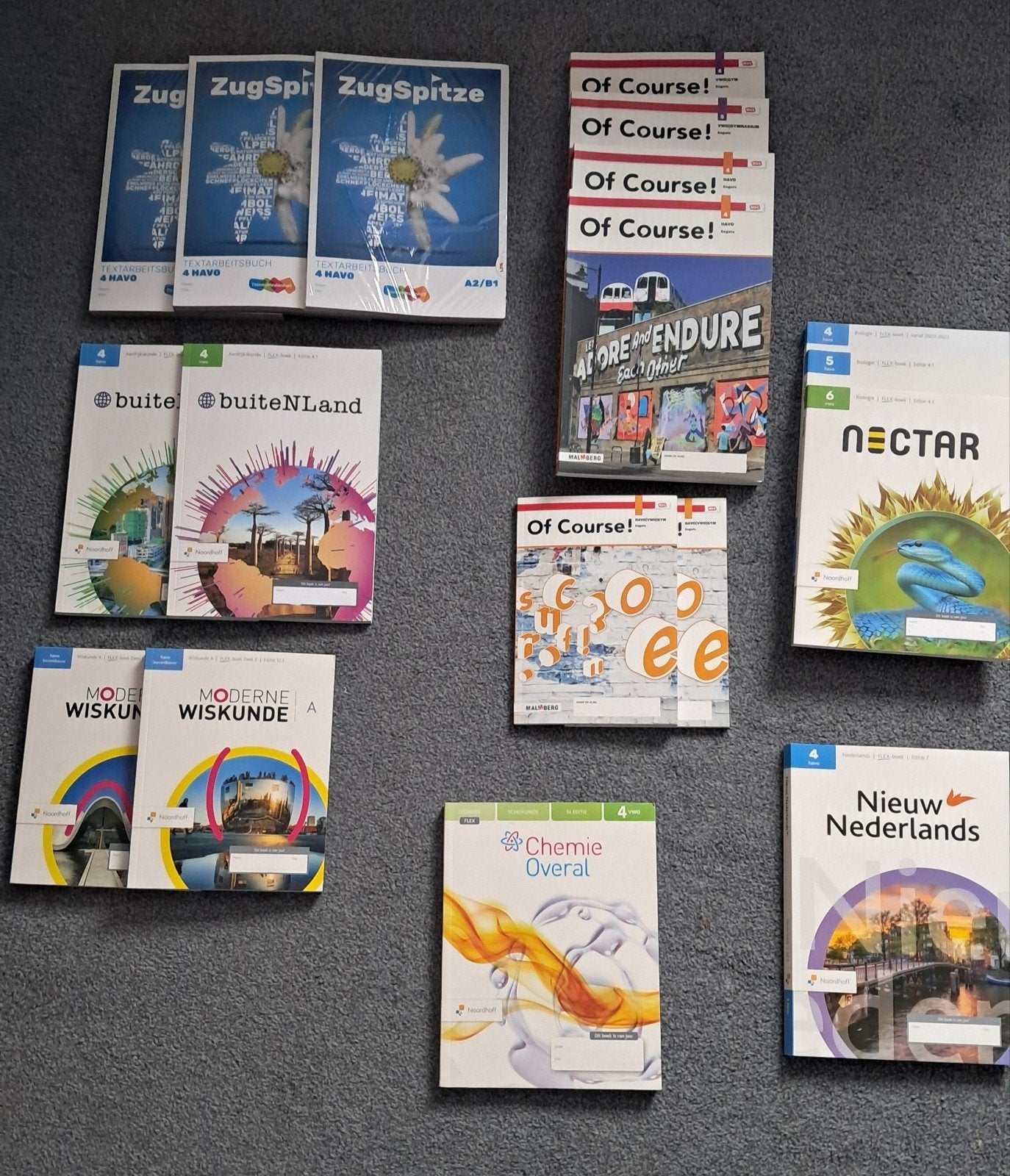 Verschillende nieuwe schoolboeken, Verzenden, Nieuw, HAVO