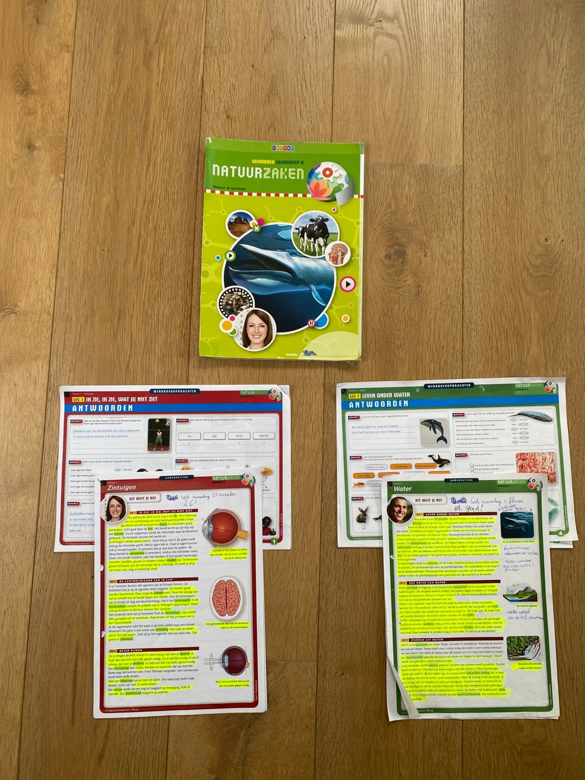 Werkboek jaargroep 8 Wereldzaken Natuur & techniek Zwijsen, Boeken, Ophalen of Verzenden, Gelezen, Zwijsen
