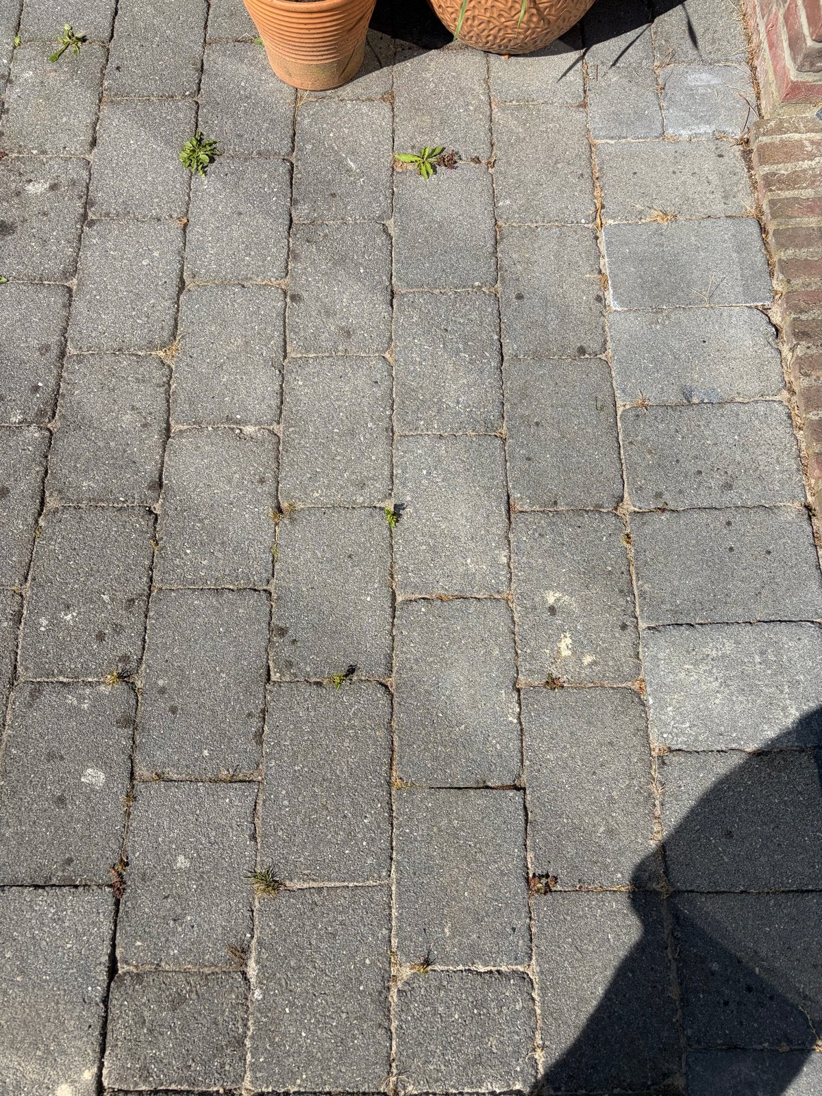 Stenen 30x20 antraciet - Gebruikte klinkers, Ophalen, Gebruikt, Beton, Klinkers