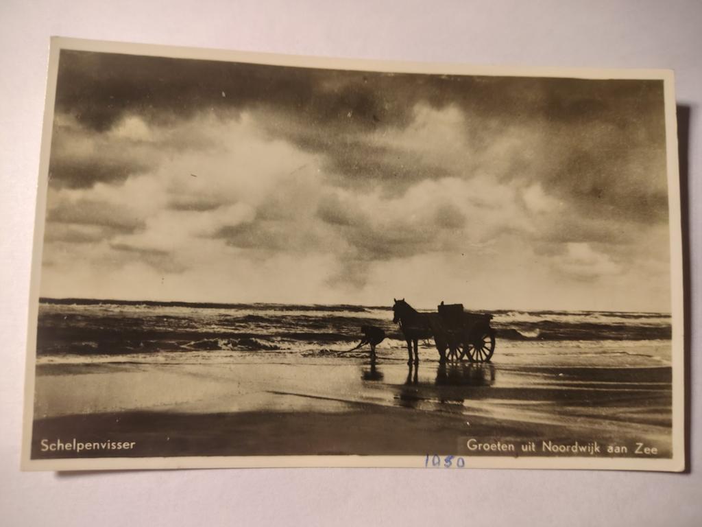 Noordwijk Schelpenvisser, Ophalen of Verzenden, Zuid-Holland