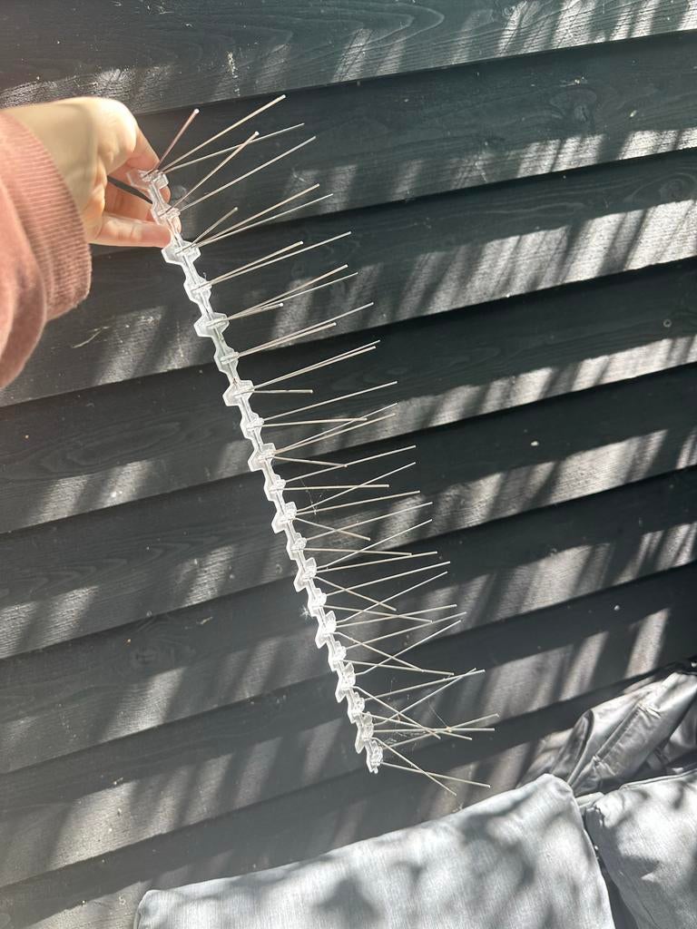 Duivenpinnen 50cm Nieuw 5 stuks, Ophalen of Verzenden, Nieuw