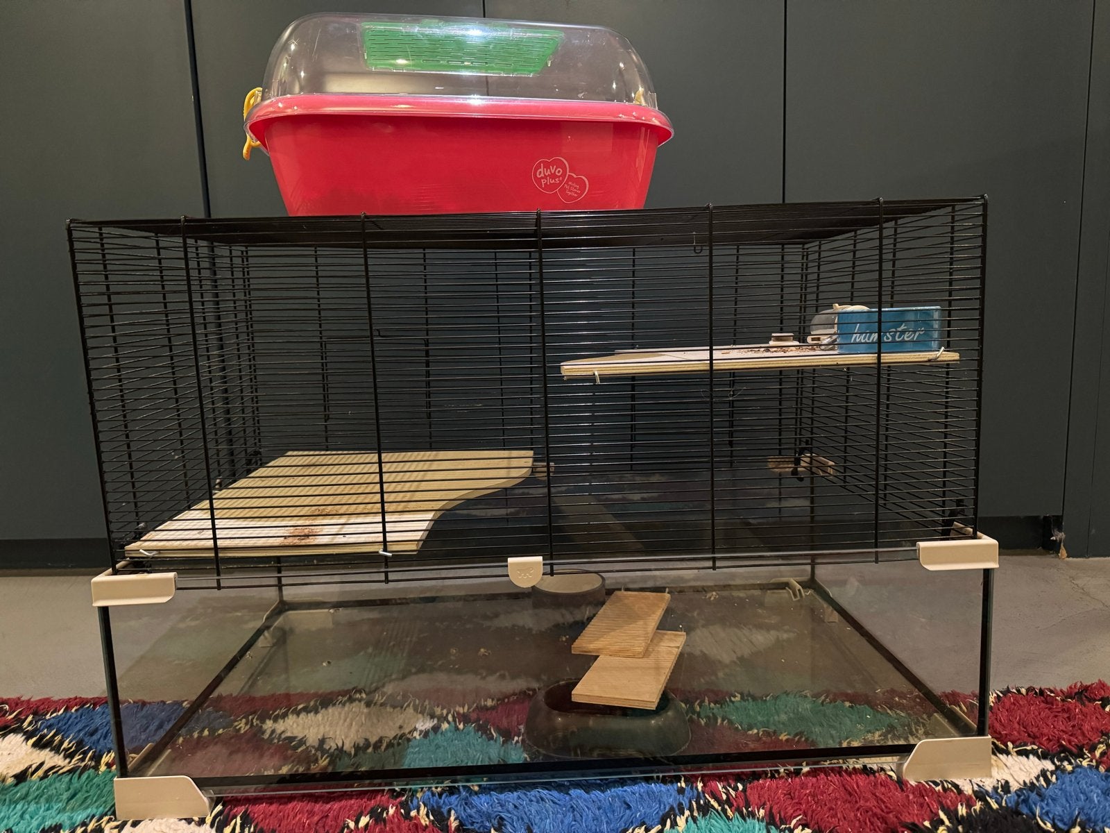 Hamsterkooi glas en raster, Dieren en Toebehoren, Kooi, Gebruikt, Hamster, 75 tot 110 cm