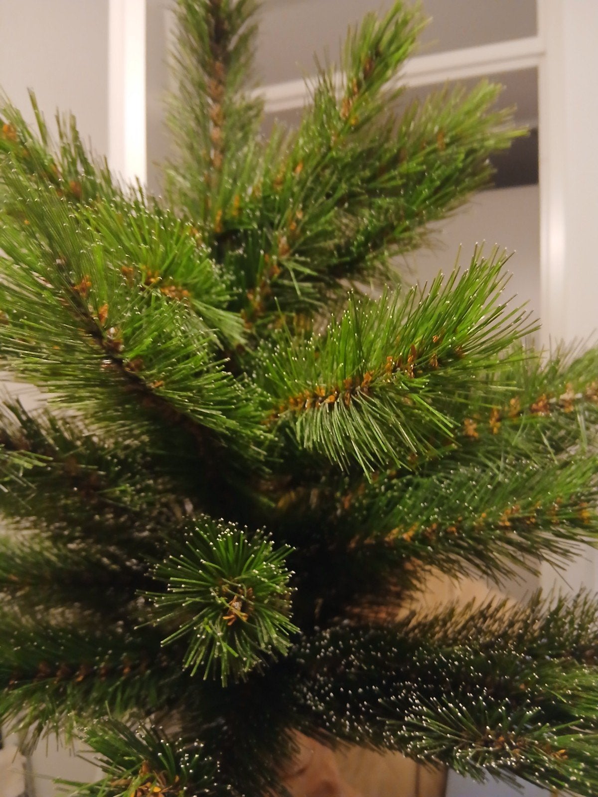 zgan kerstboom, Diversen, Ophalen
