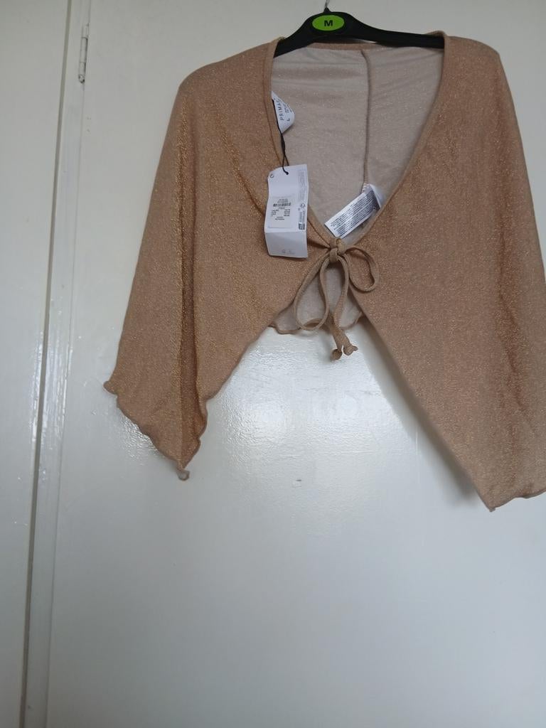 Mooi en nieuw hesje maat l, Overige kleuren, Primark, Maat 42/44 (L), Nieuw