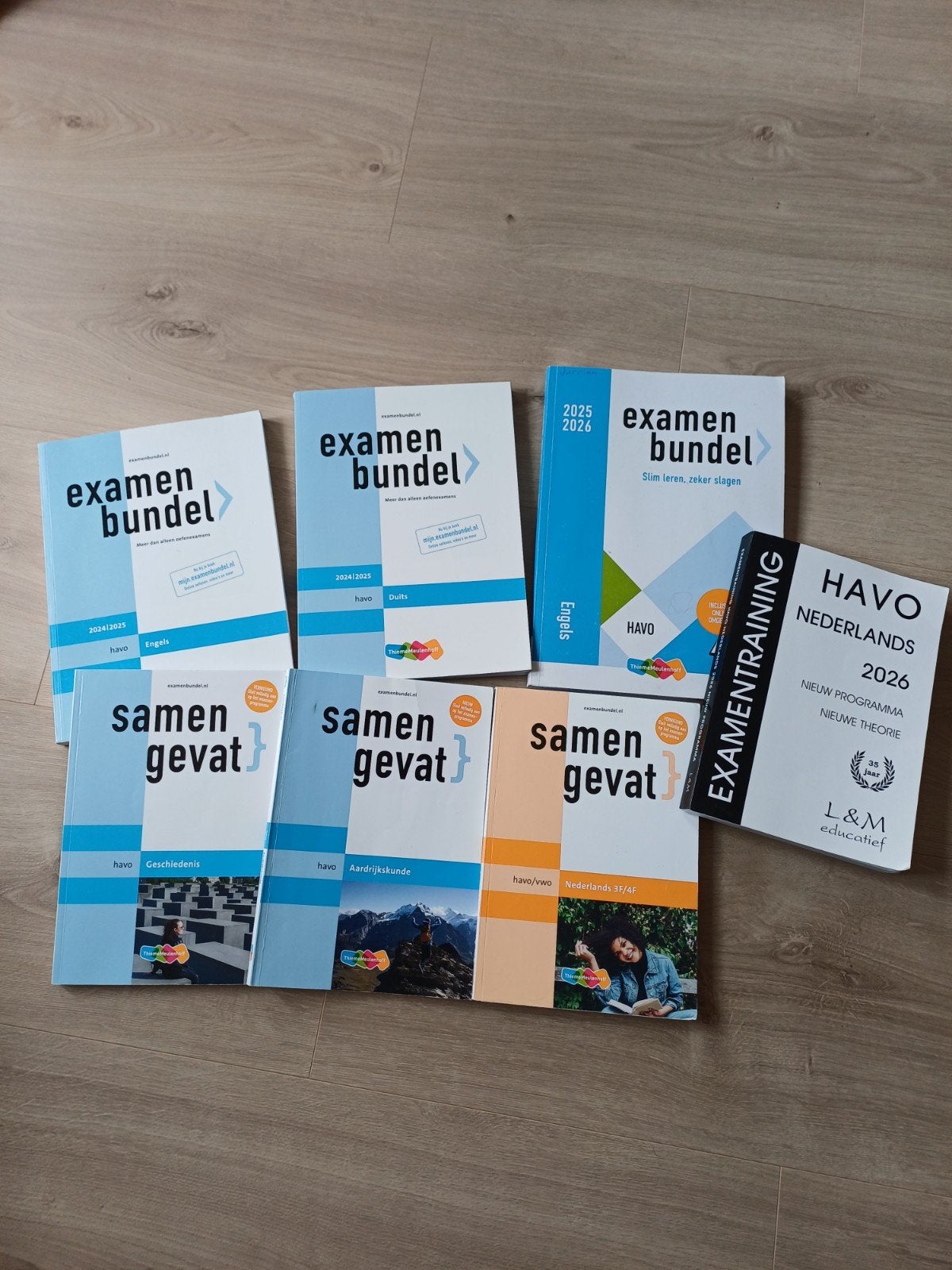 Examenbundels en Samengevat boeken HAVO, Boeken, Schoolboeken, Ophalen of Verzenden, Zo goed als nieuw, HAVO, Engels