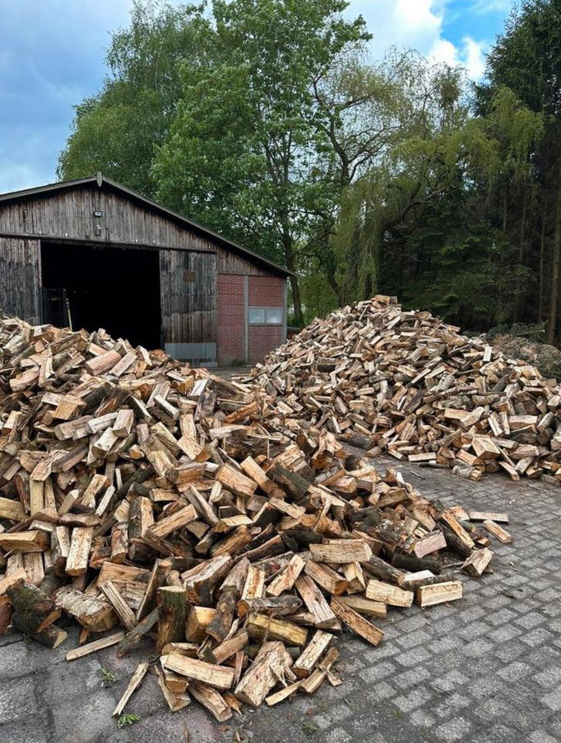 Droog, gelijk te stoken Elzen haardhout, 6 m³ of meer, Ophalen of Verzenden, Elzenhout, Blokken