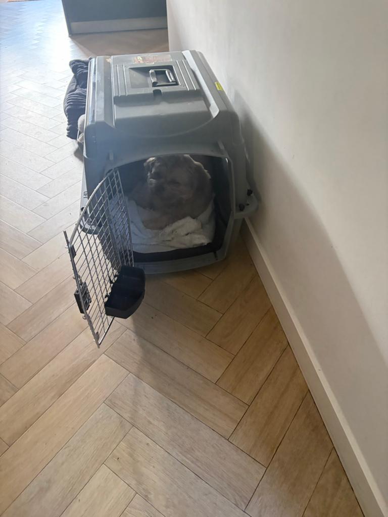 Permate  skykennel IATA reisbench, Dieren en Toebehoren, Ophalen of Verzenden, Zo goed als nieuw