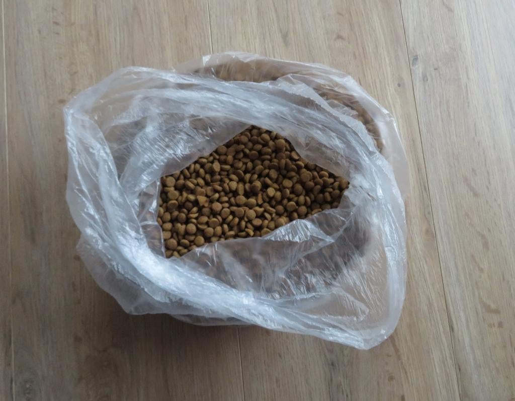 Royal Canin Regular Fit 32, Ophalen of Verzenden, Kat