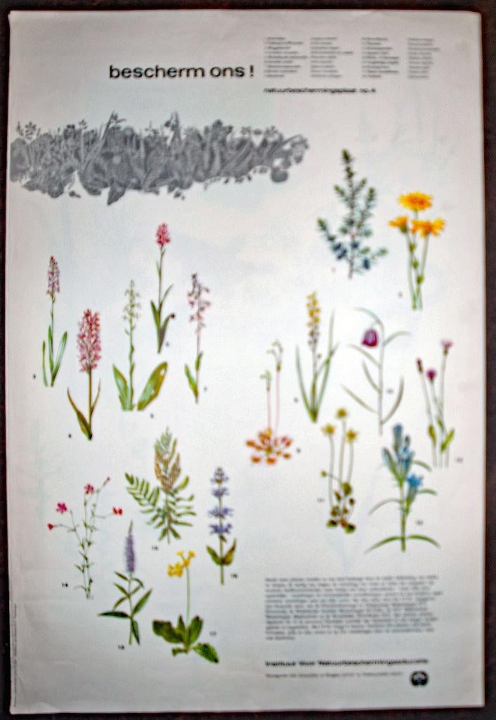 Poster - bescherm ons, Ophalen of Verzenden, Gebruikt, A1 t/m A3, Film en Tv