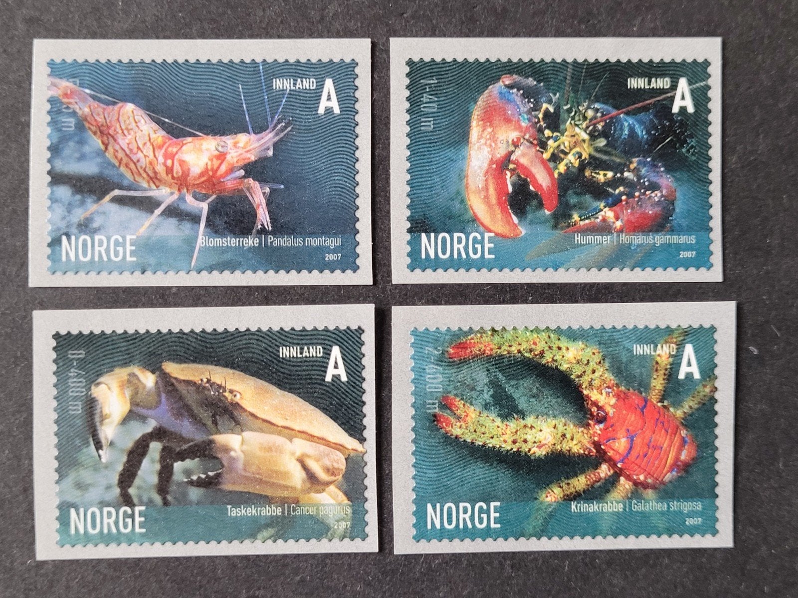Noorwegen 2007, Ophalen of Verzenden, Noorwegen, Postfris
