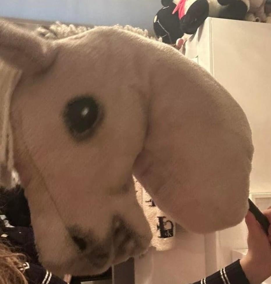 Hobby Horse klaar om opgeknapt te worden, Ophalen of Verzenden, Gebruikt, Jongen of Meisje