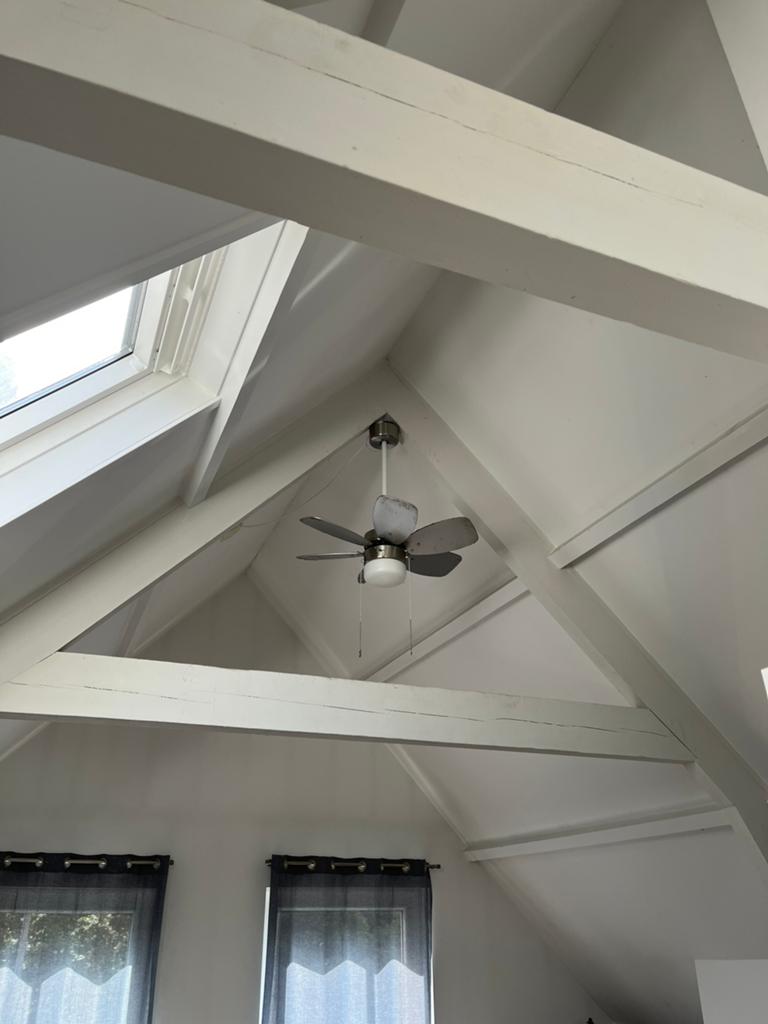 Plafondventilator met verlichting, Ophalen, Gebruikt, Plafondventilator