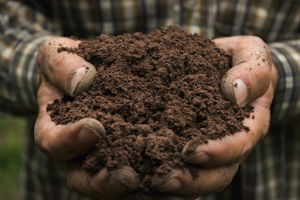75m3 zwarte grond (gratis), Ophalen, Tuinaarde