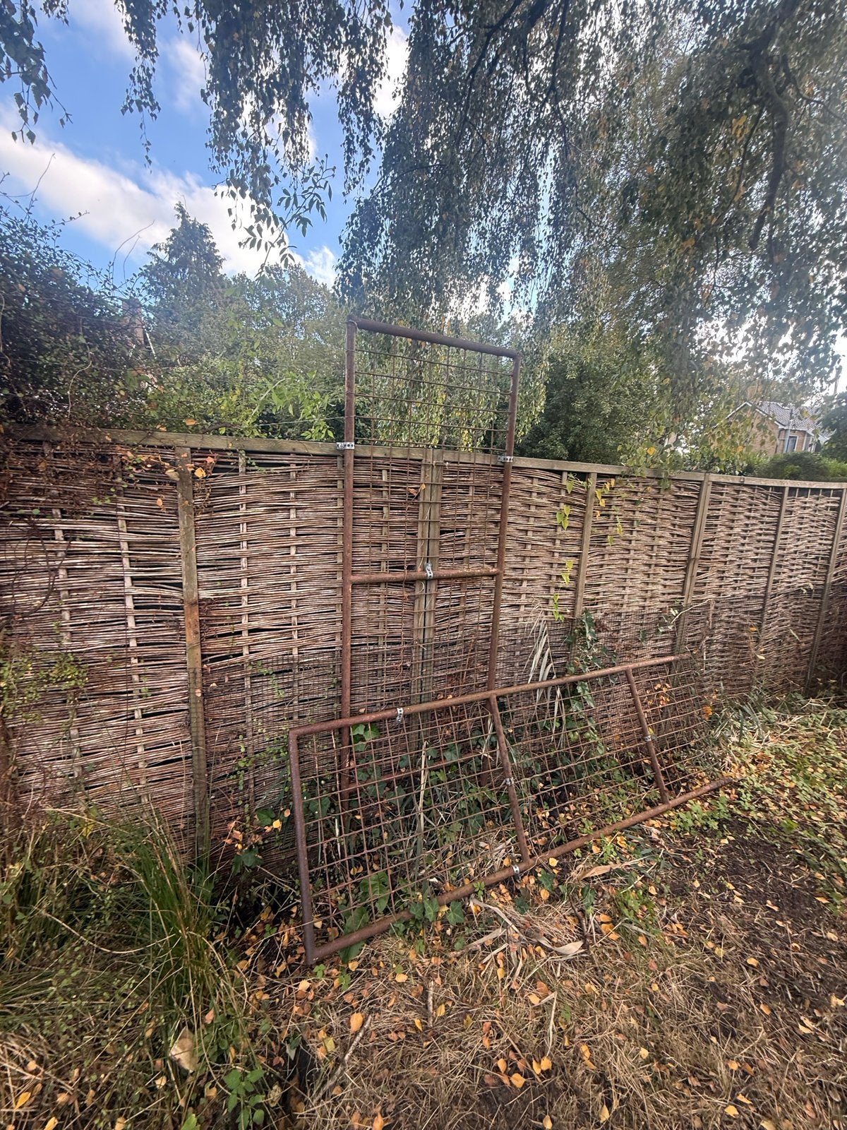 Tuinhek ,klimop hek, Tuin en Terras, Met poort, Gebruikt, Ophalen of Verzenden, Gaashekwerk
