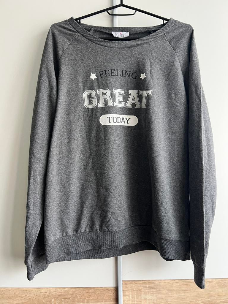 Leuke trui met text, Ophalen of Verzenden, Nieuw, Maat 56/58 (XL), Grijs