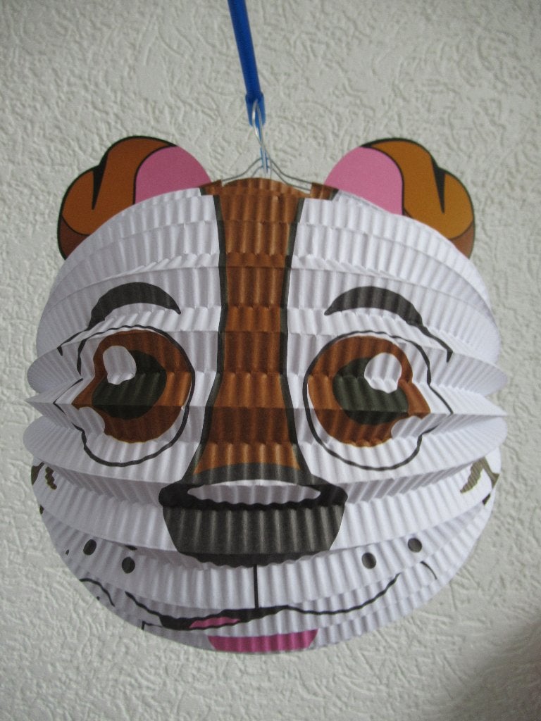 Lampionnen 2 stuks en 2 stokken voor kinderen, Ophalen of Verzenden, Gebruikt, Overige typen, Overige