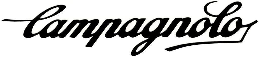 Campagnolo sticker #1, Motoren, Accessoires | Stickers, Ophalen of Verzenden