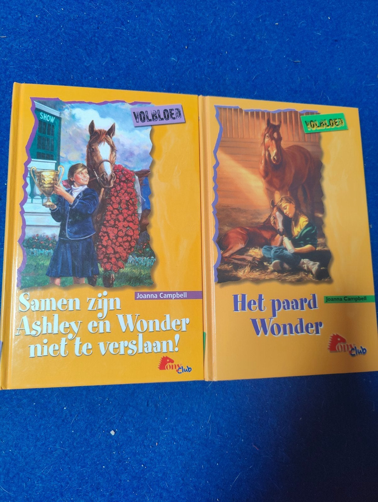 Volbloed serie boeken van Joanna Campbell (2 delen), Ophalen of Verzenden