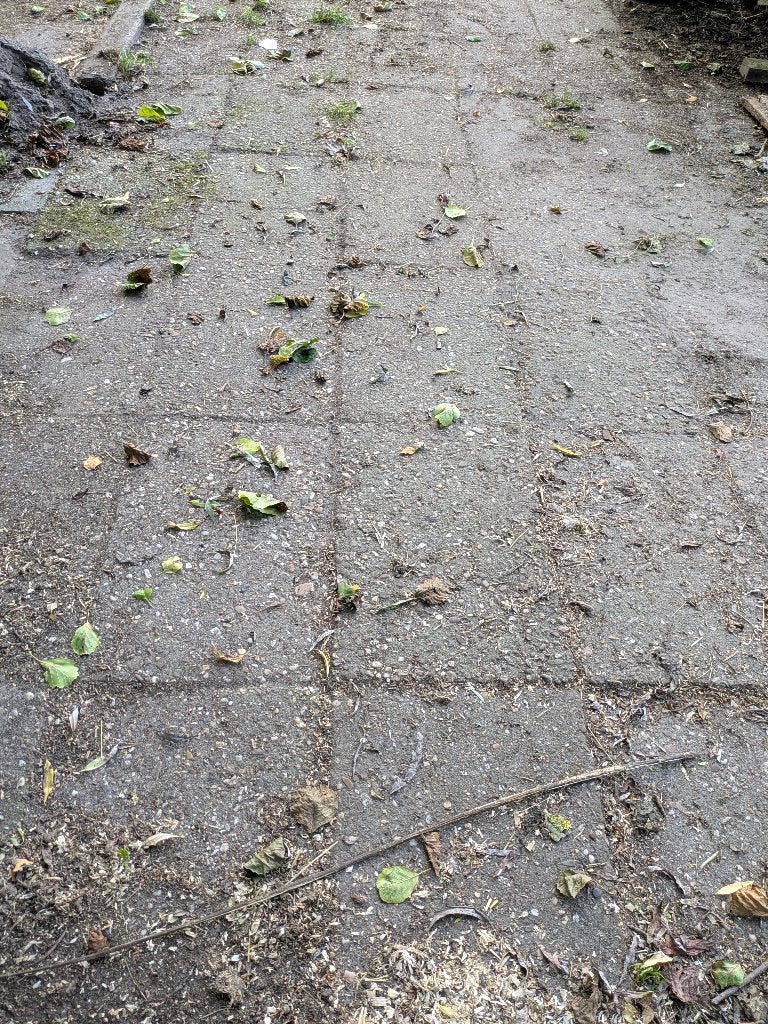 Gratis grindtegels ongeveer 200 stuks, Ophalen, Gebruikt, 10 m² of meer, Beton
