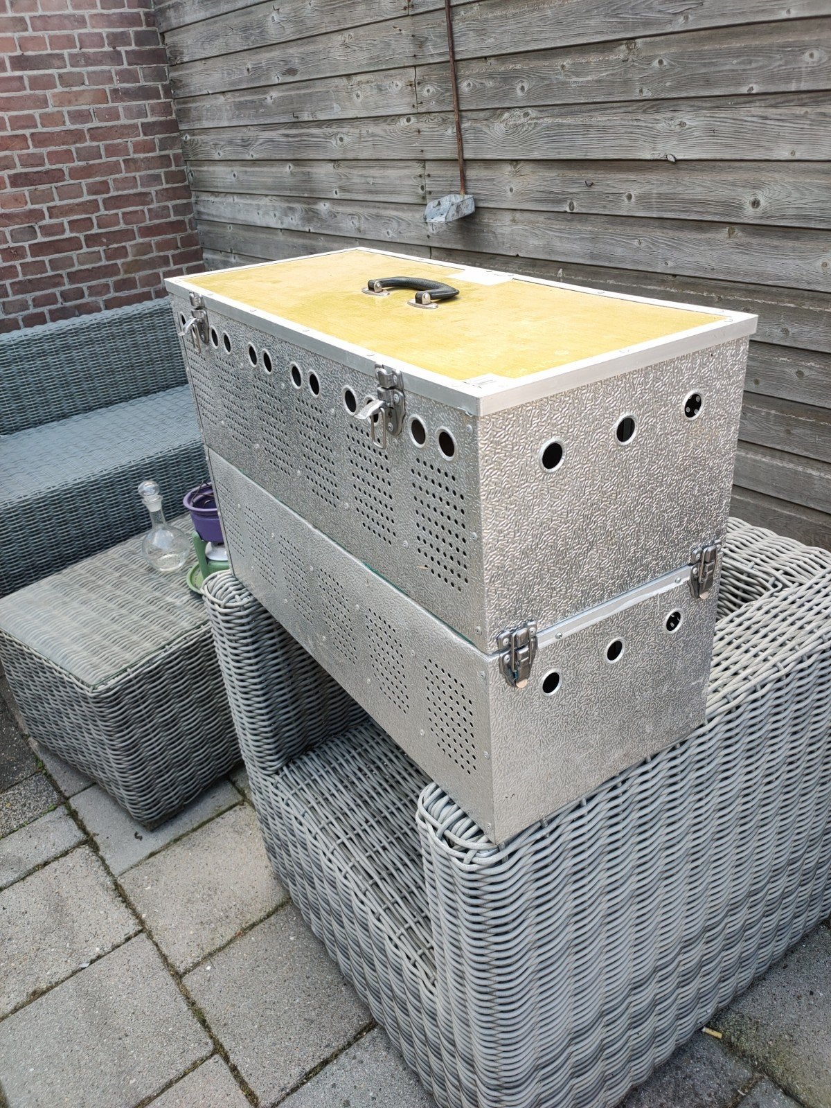 duiven. mand te koop, Dieren en Toebehoren, Vogels | Duiven, Postduif