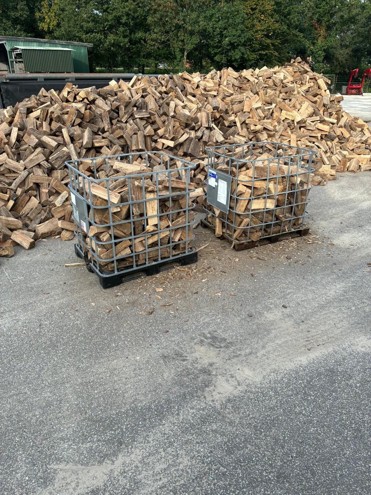 Eiken, Beuken en Essenhout – Droog brandhout (Los gestort), 6 m³ of meer, Verzenden, Eikenhout, Blokken