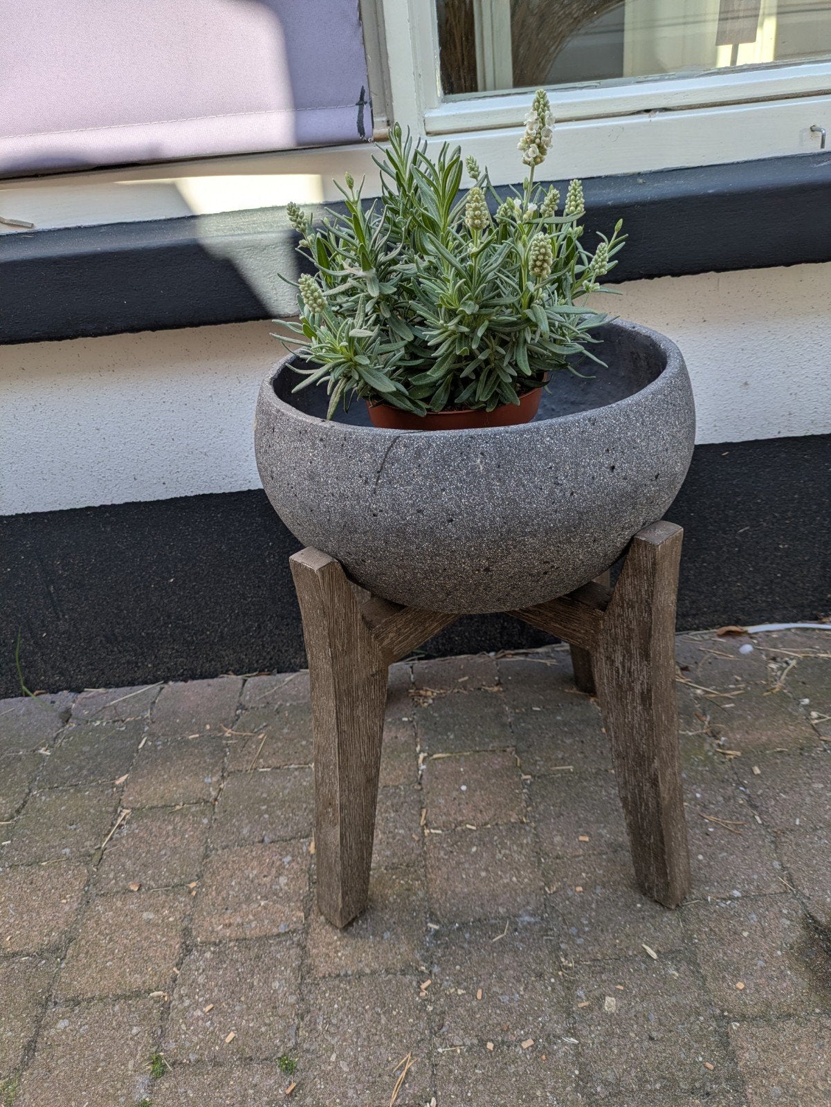 Leuke planten standaard hout en steen, Ophalen, Rond, Hout, Minder dan 30 cm