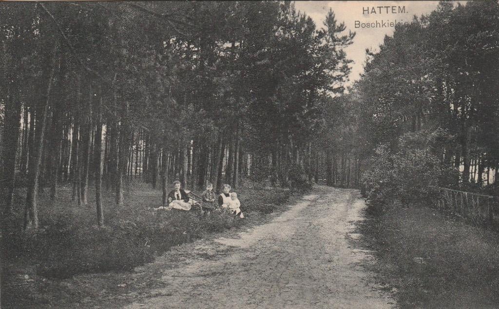hattem- boschkiekje, Ophalen of Verzenden, Voor 1920, Gelderland