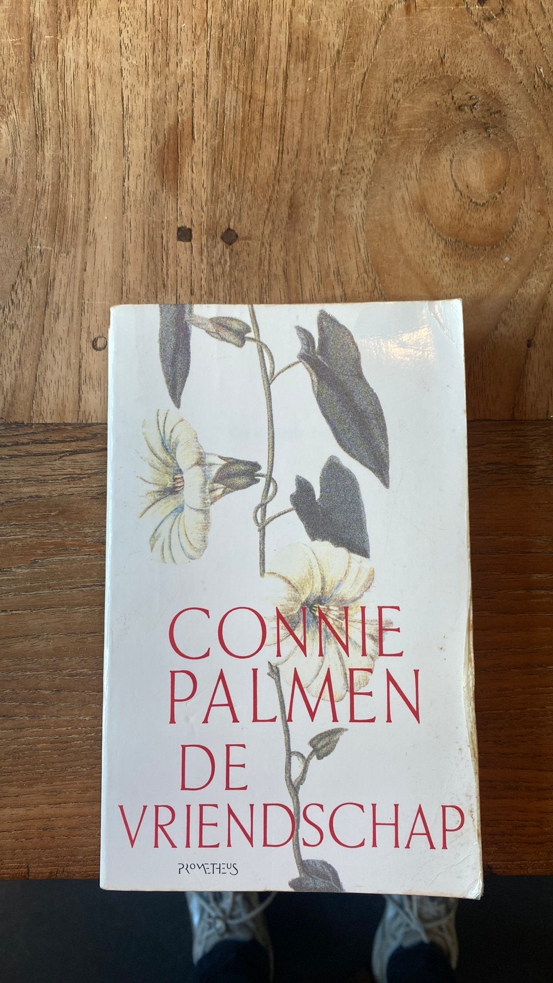 Connie Palmen - De vriendschap, Boeken, Ophalen of Verzenden, Gelezen, Connie Palmen