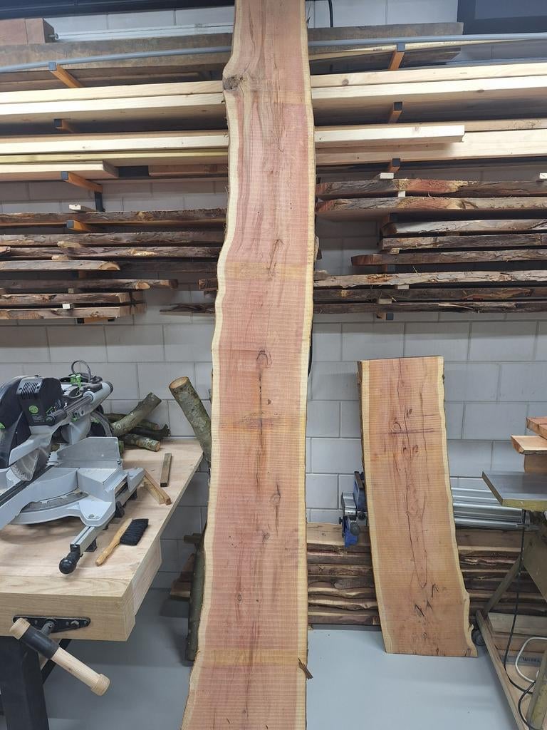 Taxus planken 40mm dik, Doe-het-zelf en Verbouw, Hout en Planken, Ophalen, 25 tot 50 mm, Nieuw, Plank