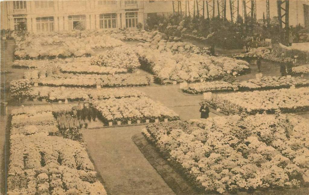 381-240-039 Floralies Gantoises, Verzenden, Voor 1920, Overig Europa