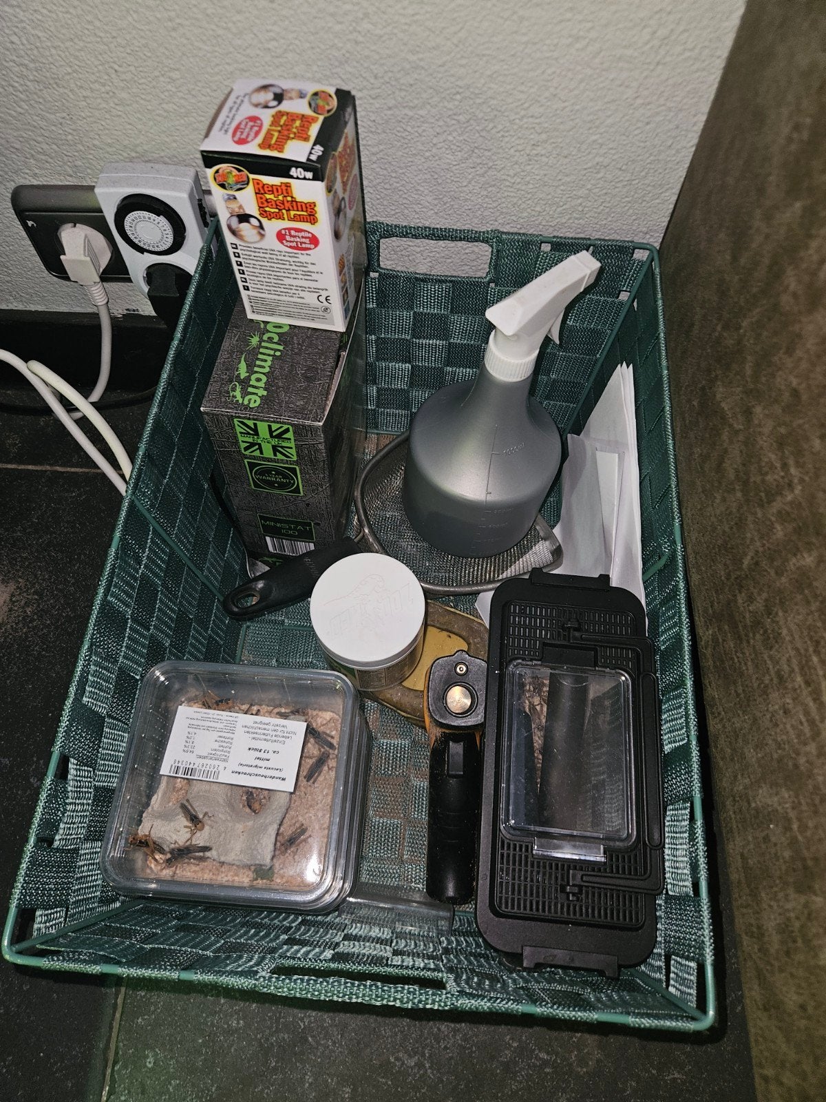 terrarium, Ophalen, Zo goed als nieuw, Terrarium of Paludarium