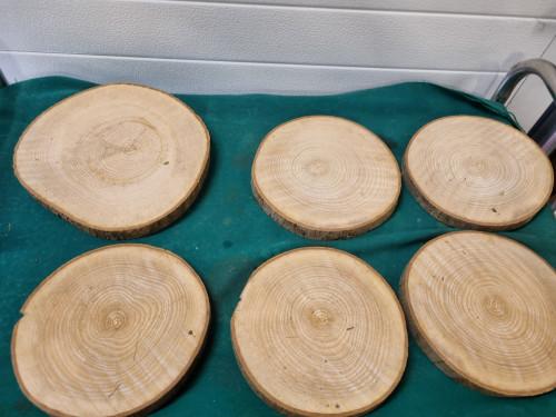 decoratie boomstam schijven zes stuks met schors, Ophalen of Verzenden, 'T Olde Gre-j, Info@toldegrej.nl, Endepoelstraat 20f Didam