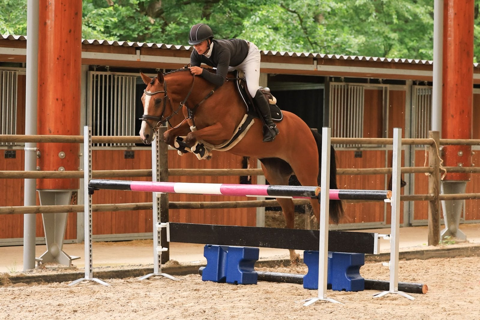 4 jarige vriendelijk  merrie, Dieren en Toebehoren, Paarden, Merrie, Springpaard, L, 7 tot 10 jaar