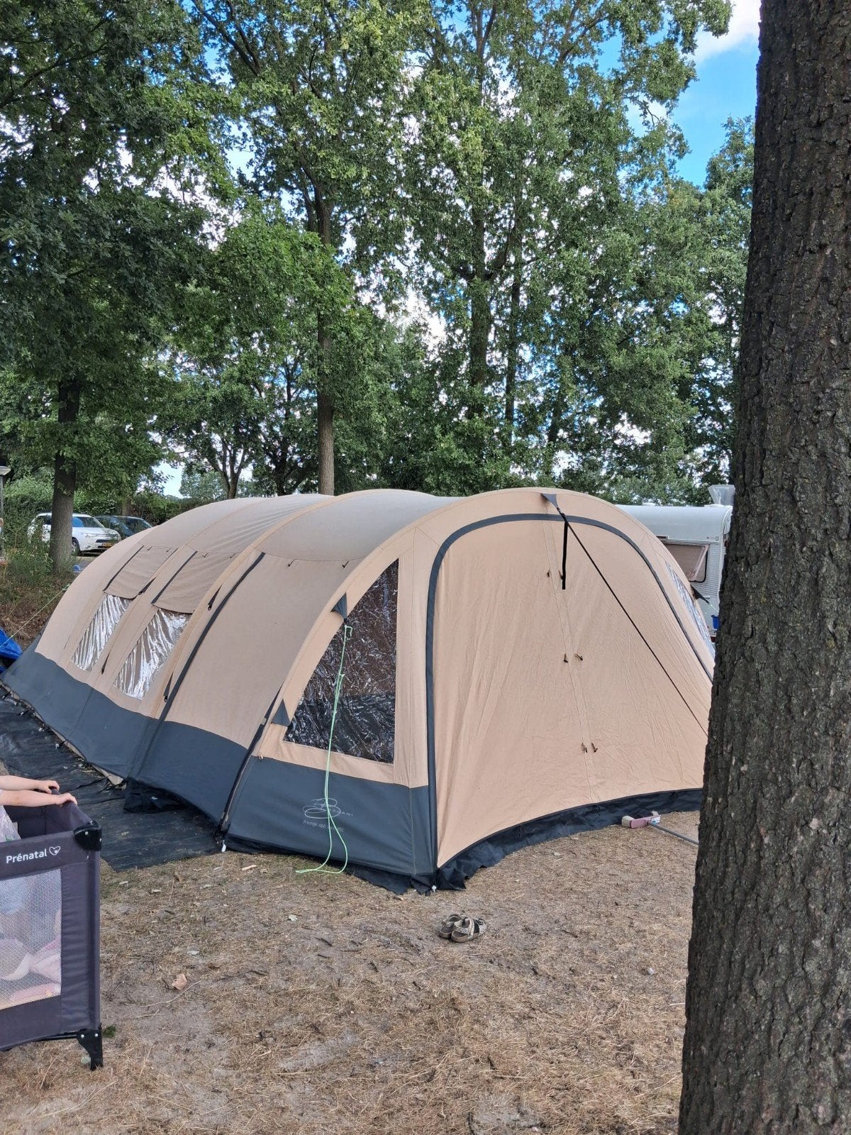 Bardani Royal Prestige 460 RSC tunneltent, Ophalen, Gebruikt, Tot en met 6