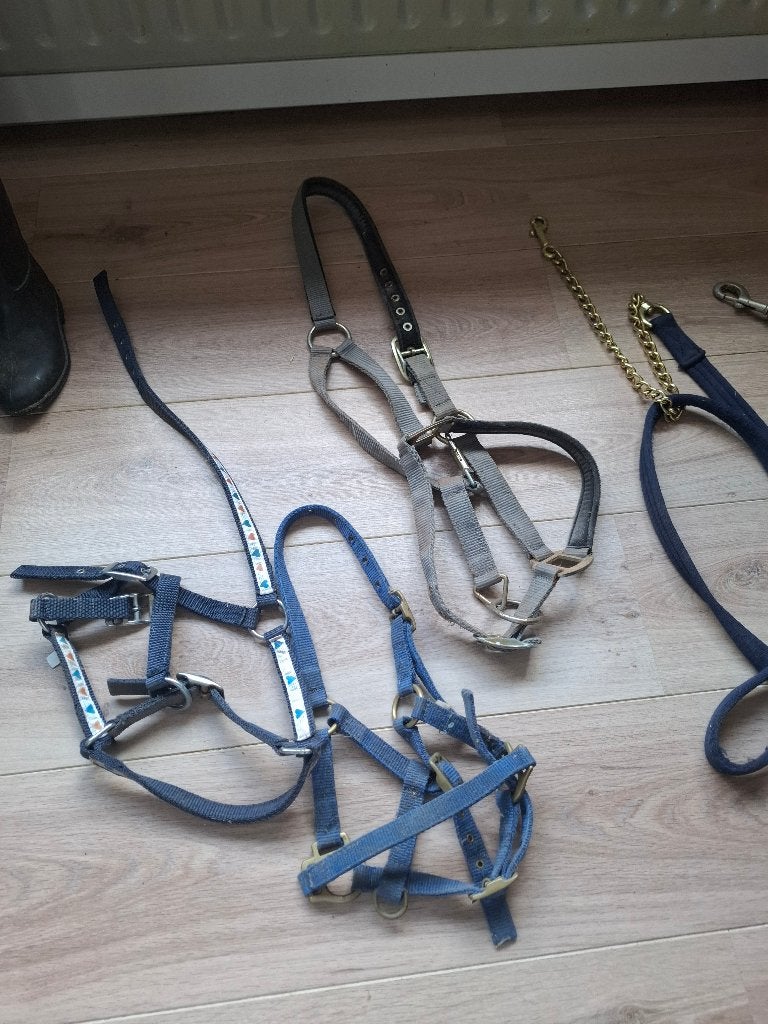 Halsters, Dieren en Toebehoren, Ophalen, Gebruikt, Recreatie, Pony