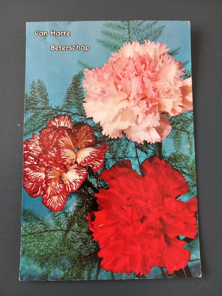 Gratis : oude ansichtkaart, Ophalen of Verzenden, 1940 tot 1960, Gelderland
